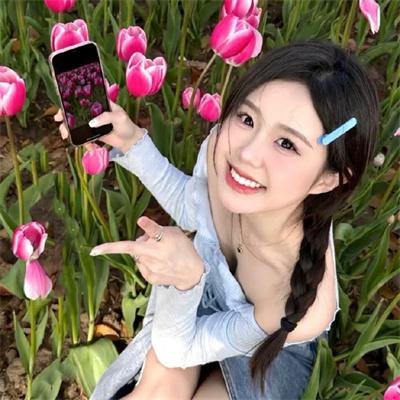 翡翠森林